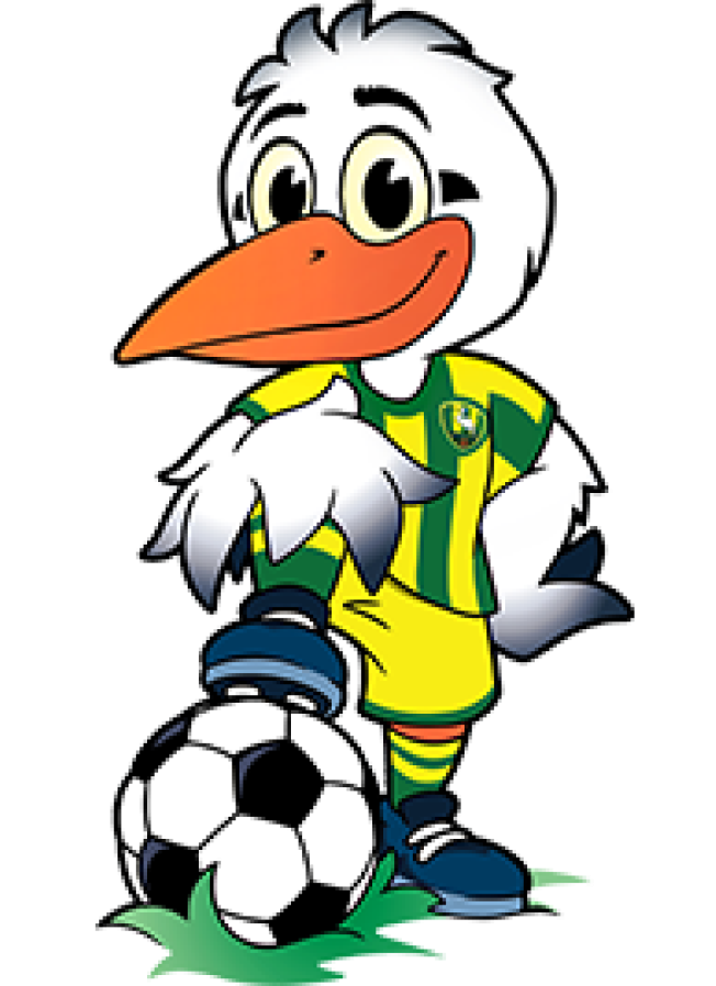 Storky mascot with football